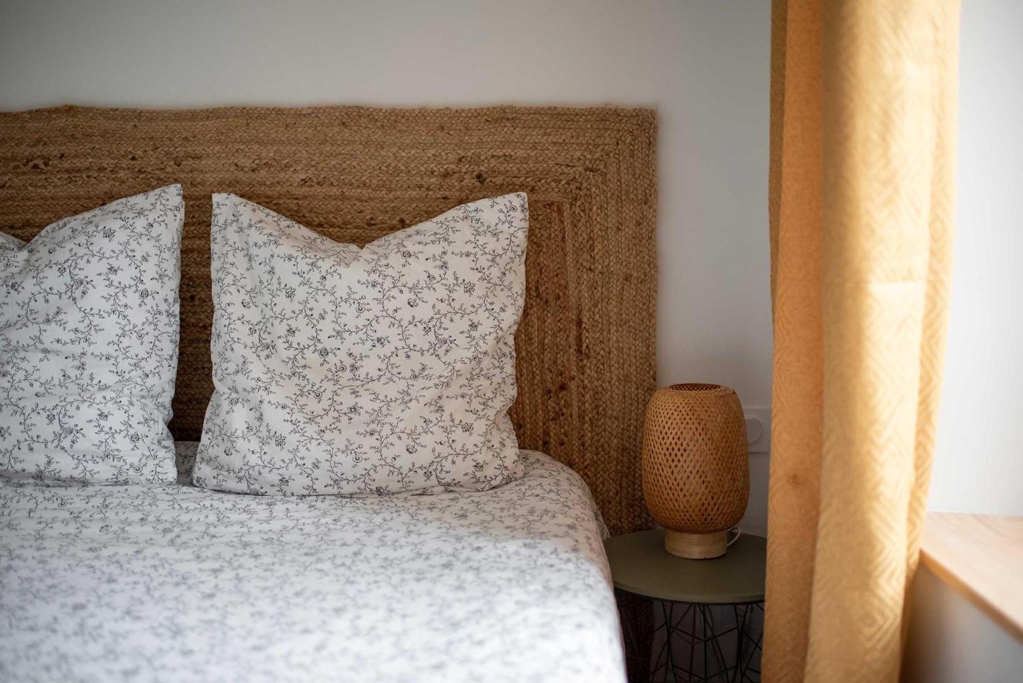 Le Tropical : T2 Renove Ambiance Cosy Et Coloree Mazamet Ngoại thất bức ảnh